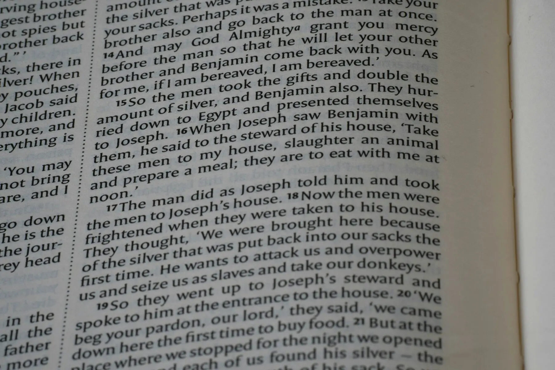 Close-set columns of printed text on an open page.